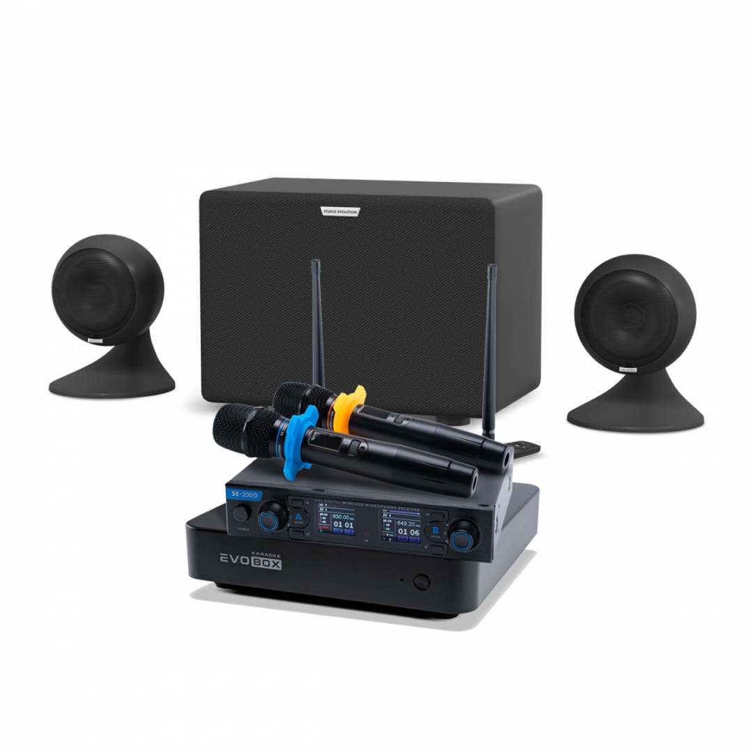 караоке-комплект EVOBOX + EvoSound Sphere 2.1 в Нязепетровске