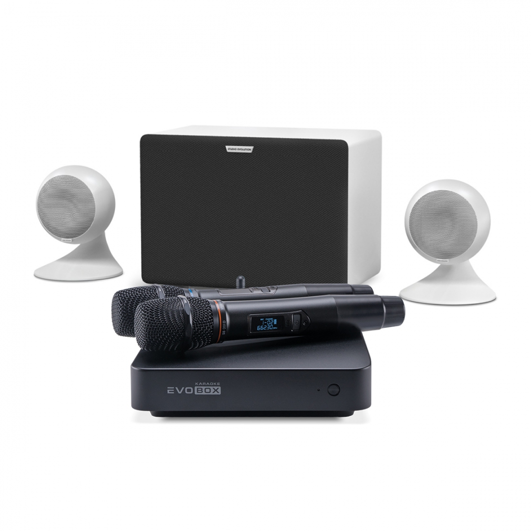 караоке-комплект EVOBOX Classic + EvoSound Sphere 2.1 в Нязепетровске