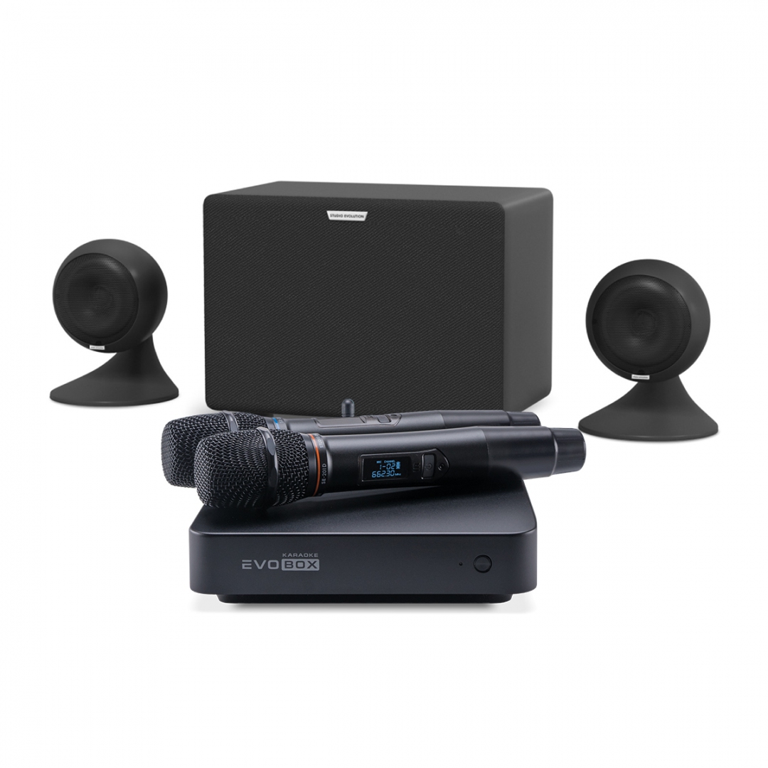 караоке-комплект EVOBOX Plus + EvoSound Sphere 2.1 в Нязепетровске