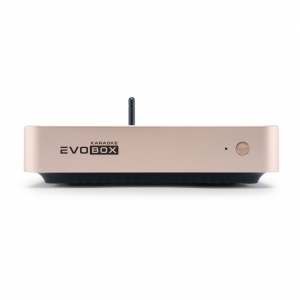 EVOBOX Plus караоке-система для дома в Нязепетровске