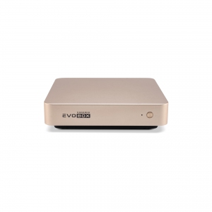 EVOBOX с микрофонами в Нязепетровске