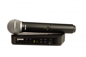 SHURE BLX24E/PG58 M17 вокальная радиосистема в Нязепетровске