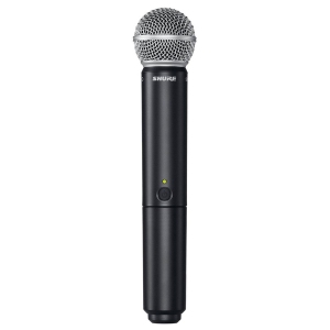 SHURE BLX288E/PG58 M17 вокальная радиосистема в Нязепетровске